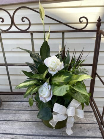 White roses and greenery in a pot.