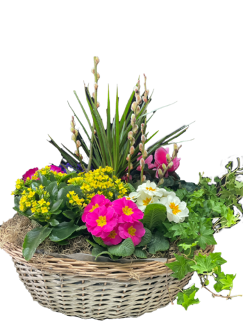 X-Large Blooming Dish Bowl Garden
